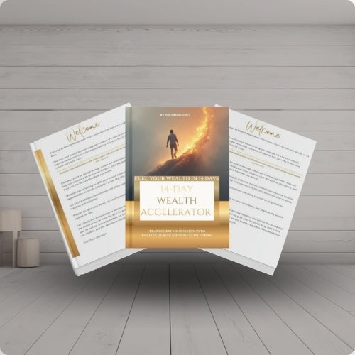 WEALTH ACCELERATION: THE SMART WAY TO GROW YOUR BUSINESS ONLINE