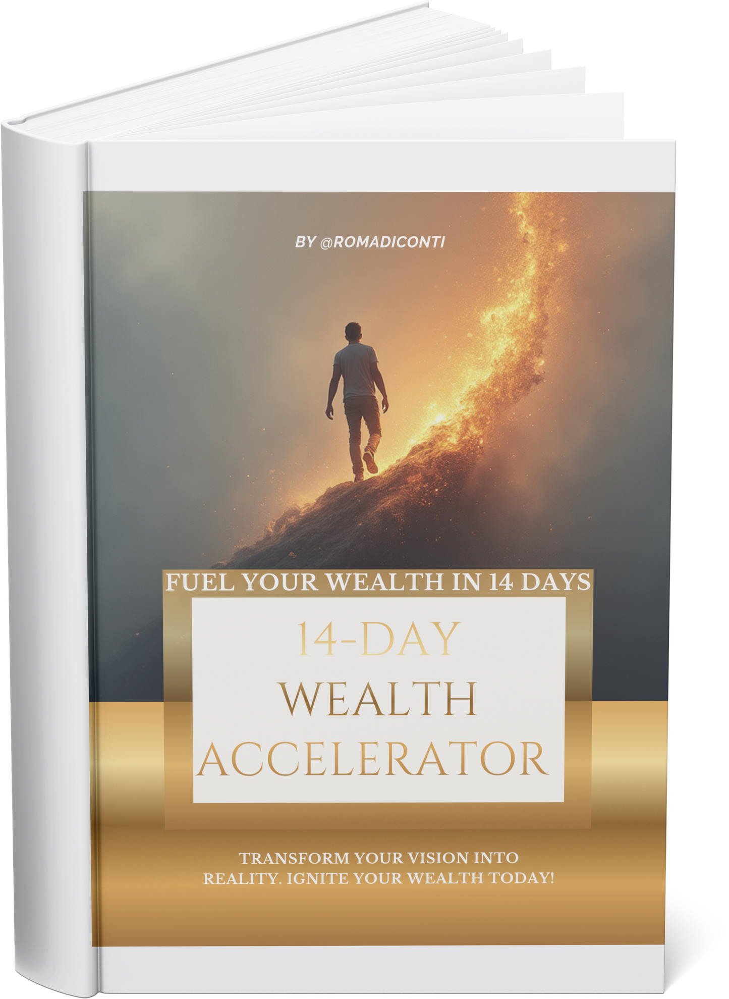 14-Day Wealth Accelerator